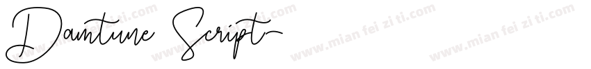 Damtune Script字体转换